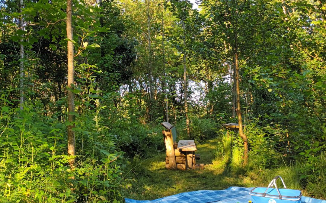 Erstes Innviertler Bierpicknick – Biermärzaktion 2025